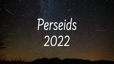 When and Where To Watch the Perseids Meteor Showers 2022? Get Live Streaming Details of the Event!